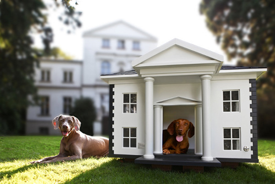 Hundehaus-Alabama-Dog-House-1