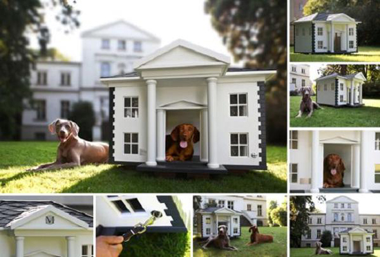 Hundehaus-Alabama-Dog-House