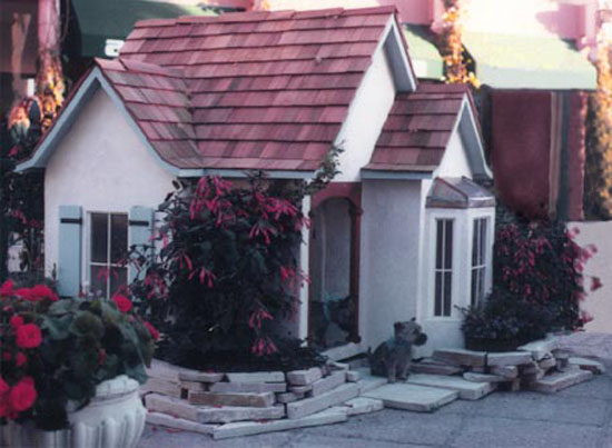 Luxury-Big-Dog-Outdoor-Houses-2