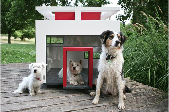 Modern-Dog-house-5