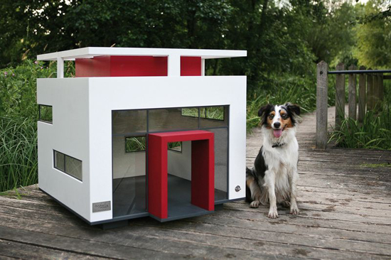 hunde-haus-cubix