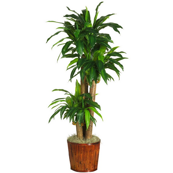 silk-plants-Floor-Plants_06